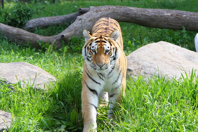 2008-08-05 11.01.32(0002).JPG